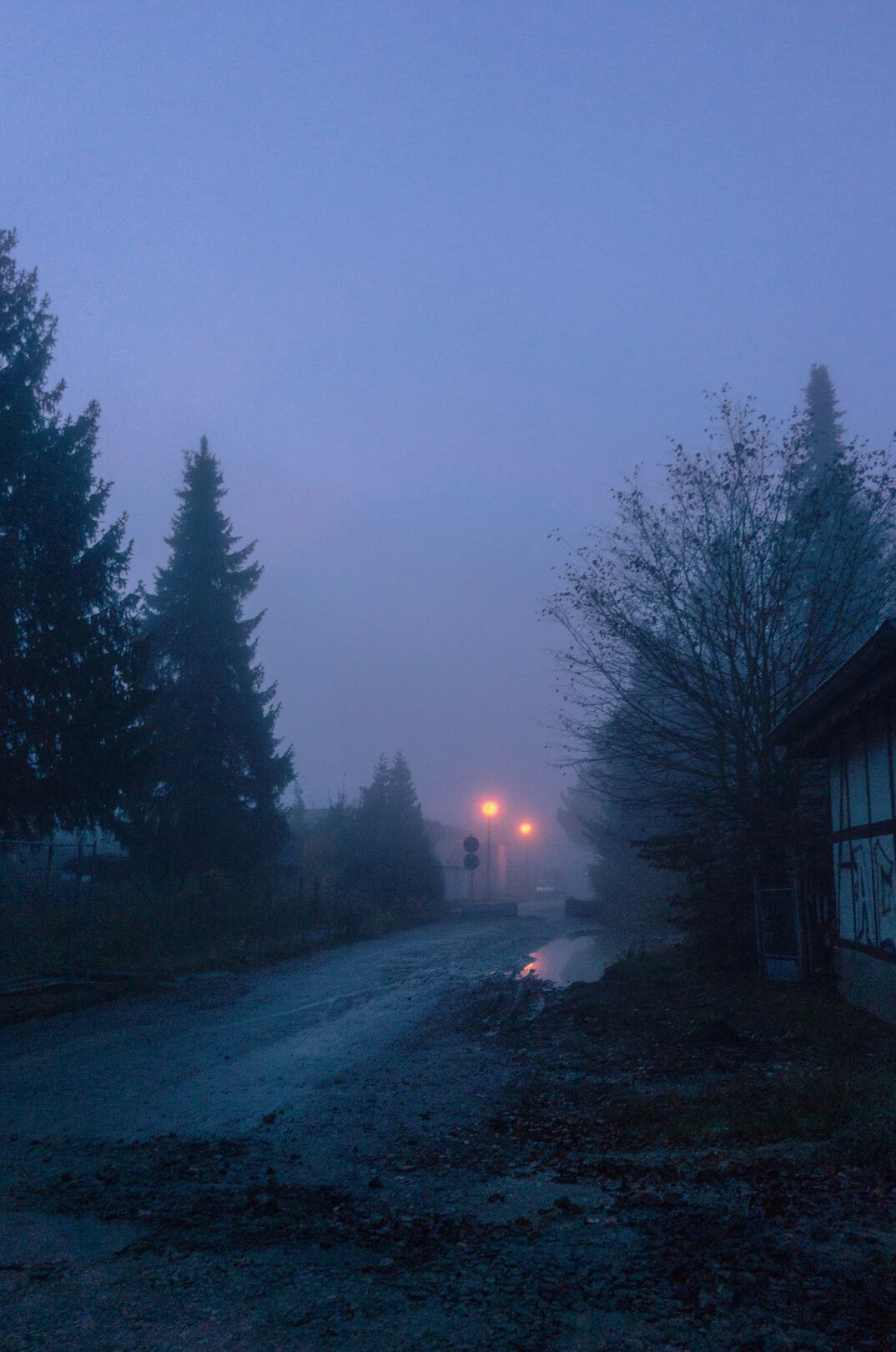 foggy street at night